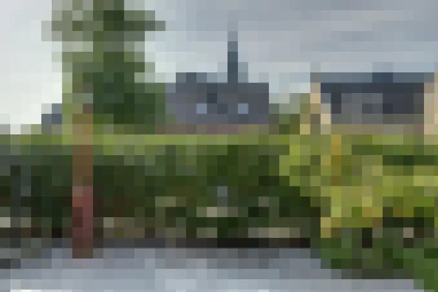 Essendreef 2 Gouderak thumbnail 39