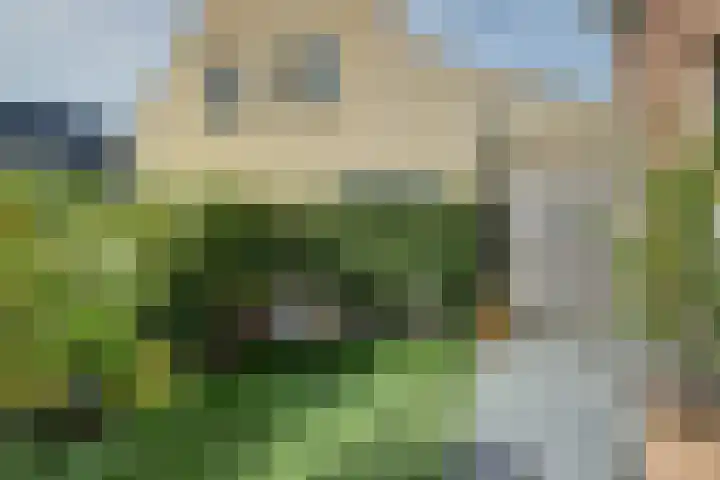 Essendreef 2 Gouderak thumbnail 41