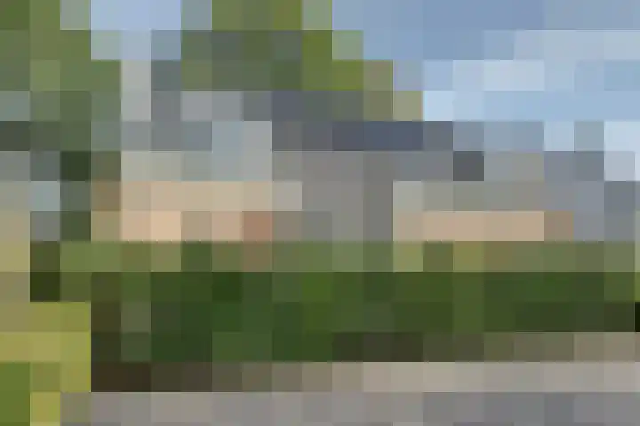 Essendreef 2 Gouderak thumbnail 43