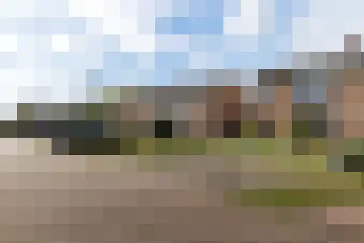 Essendreef 9 Giethoorn thumbnail 8