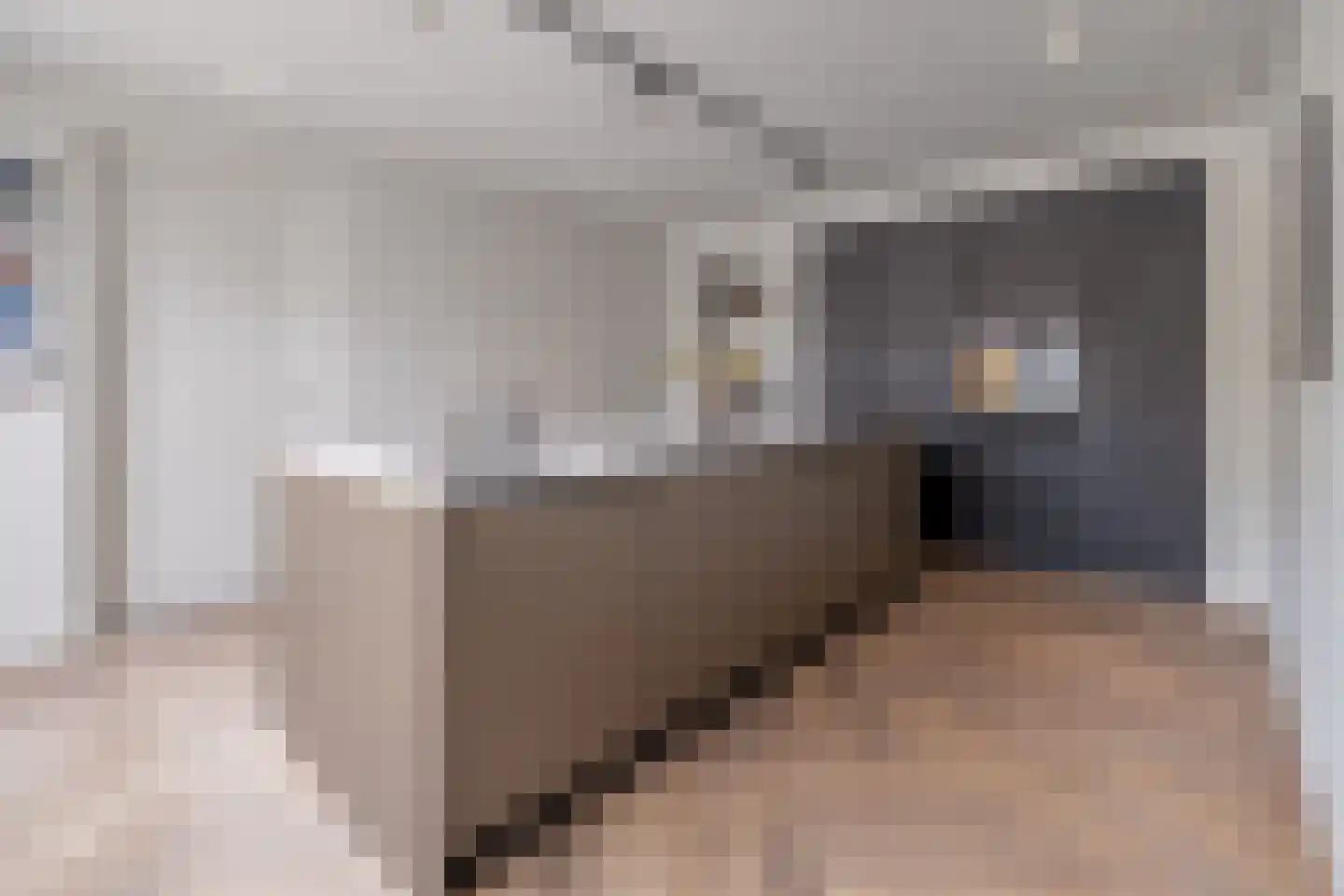 Essenerweg 12 Kootwijkerbroek thumbnail 13