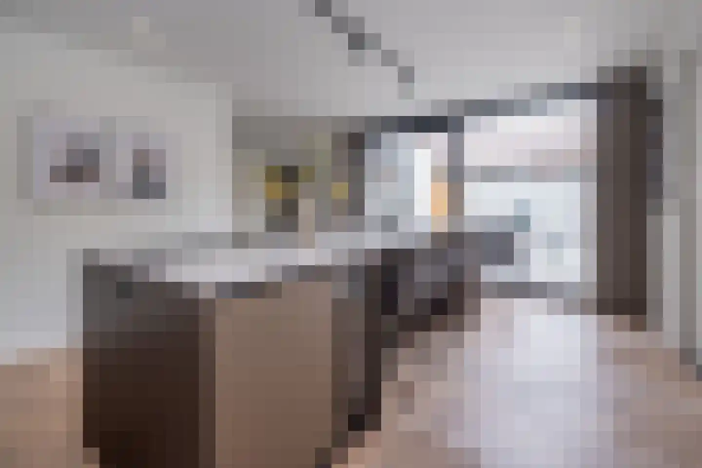 Essenerweg 12 Kootwijkerbroek thumbnail 14