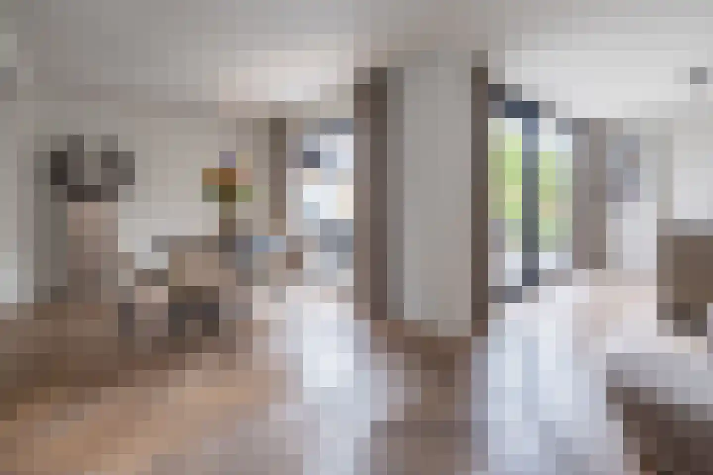 Essenerweg 12 Kootwijkerbroek thumbnail 17