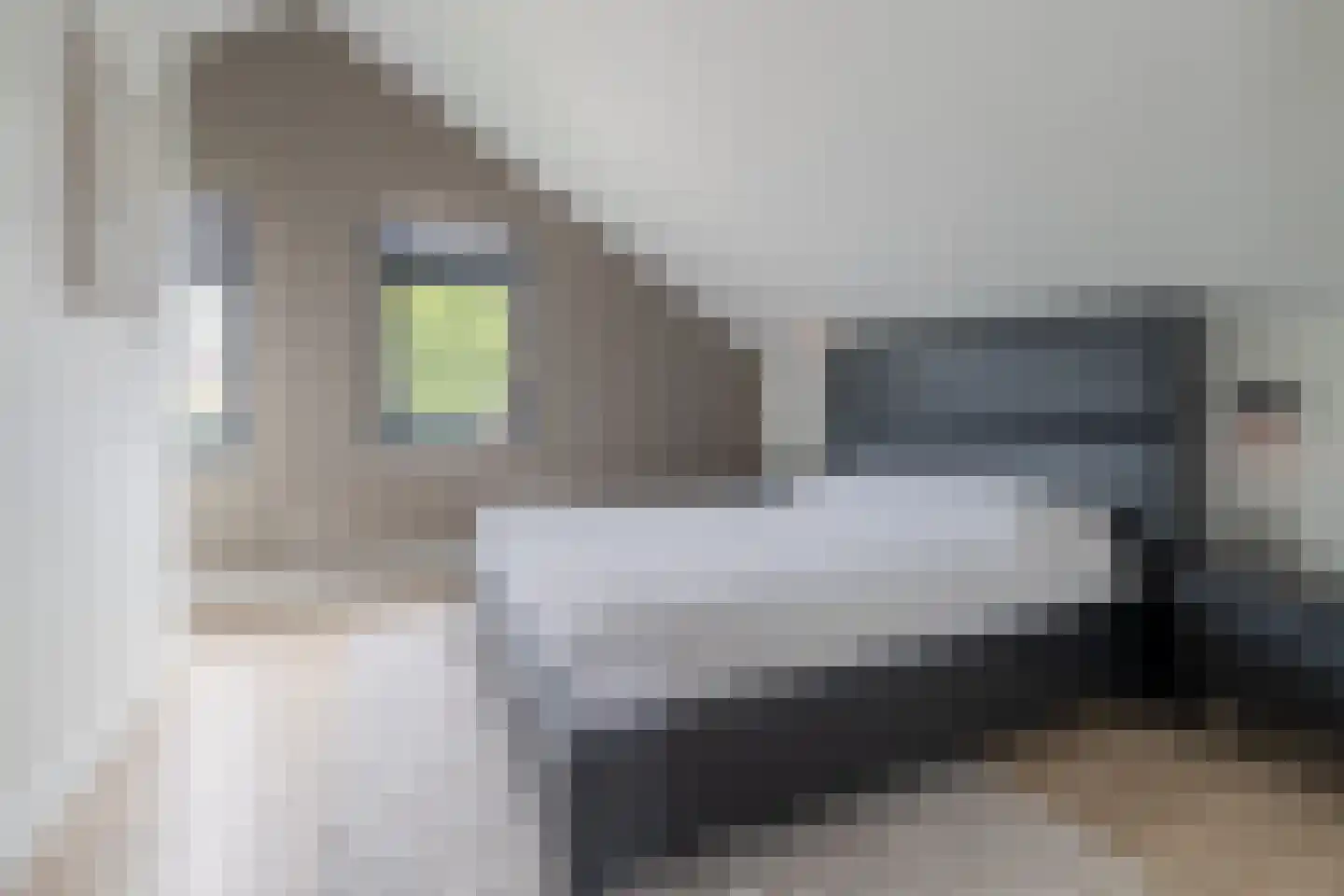 Essenerweg 12 Kootwijkerbroek thumbnail 21