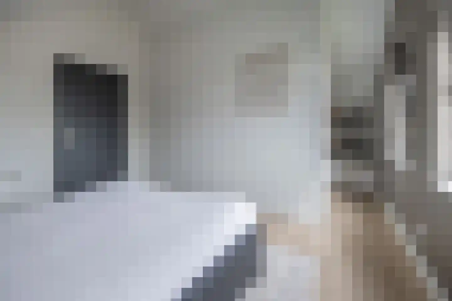 Essenerweg 12 Kootwijkerbroek thumbnail 23