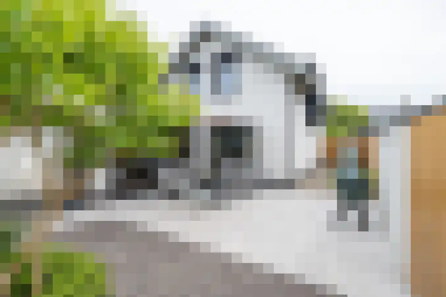 Essenerweg 12 Kootwijkerbroek thumbnail 38