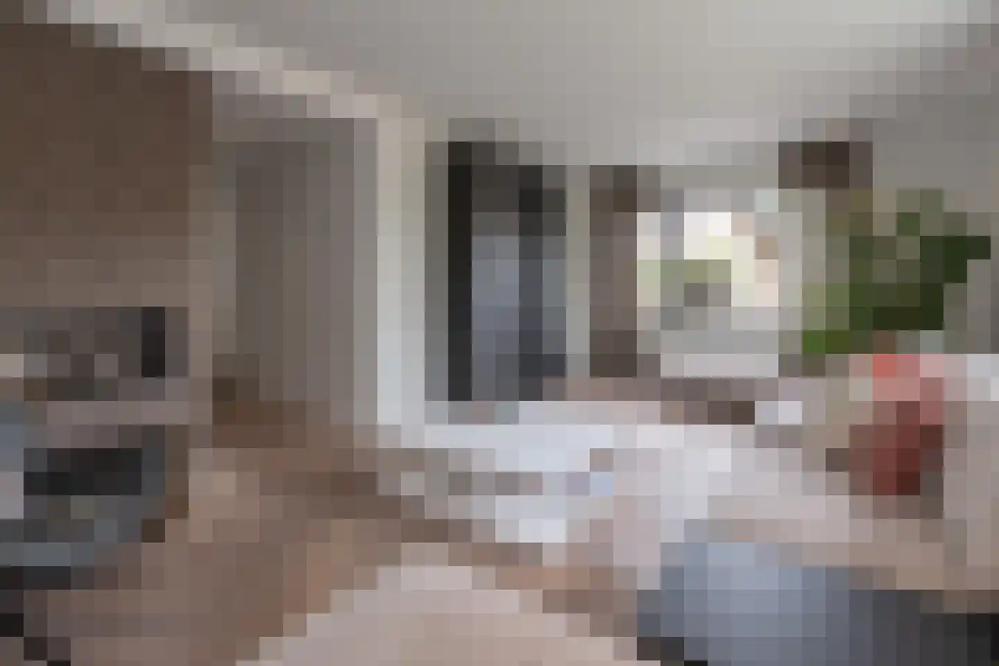 Essenerweg 12 Kootwijkerbroek thumbnail 4