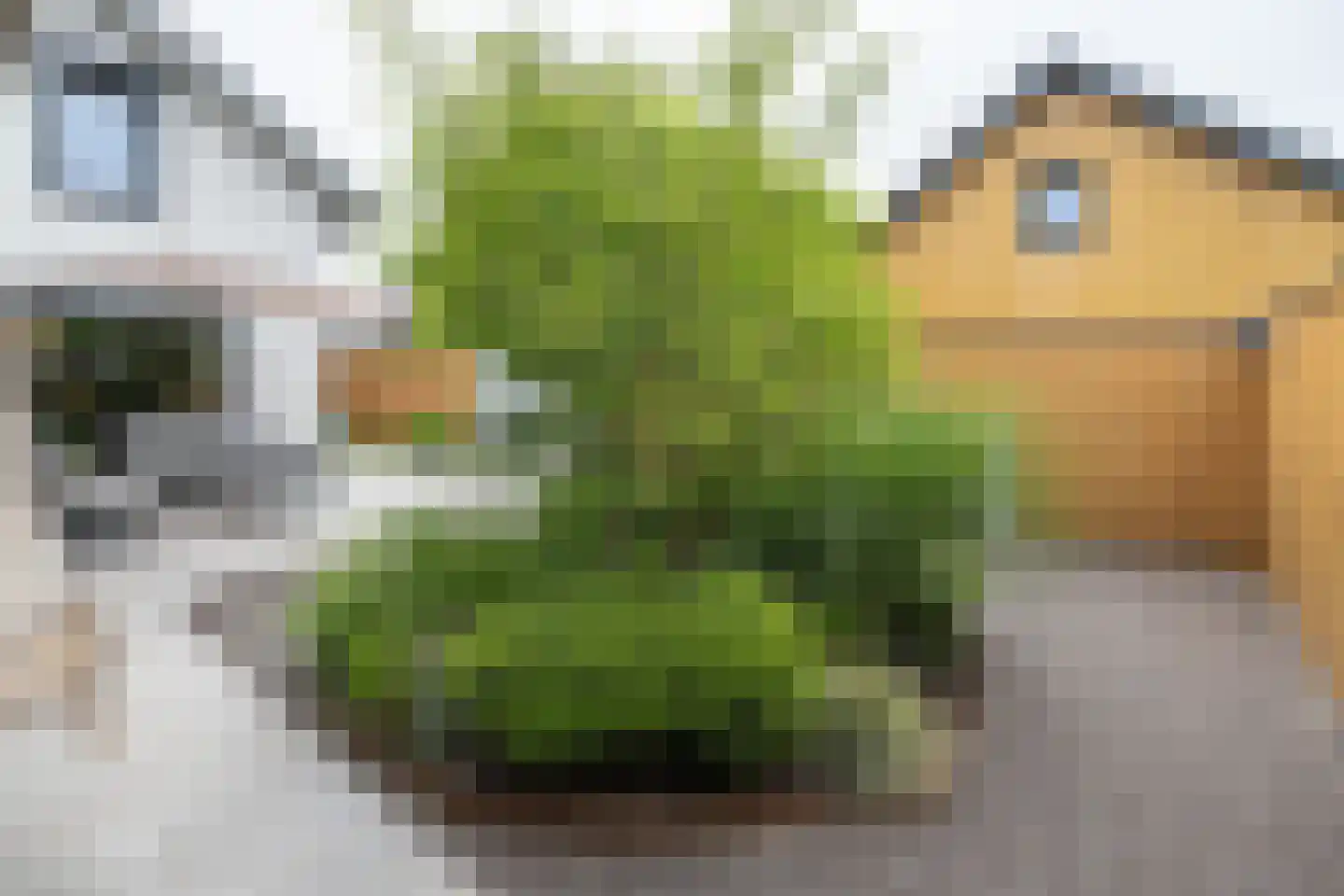 Essenerweg 12 Kootwijkerbroek thumbnail 40