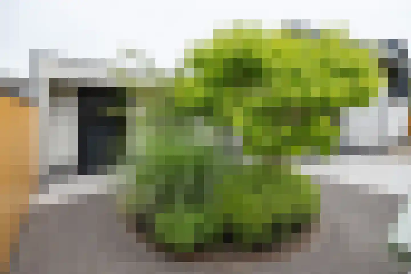 Essenerweg 12 Kootwijkerbroek thumbnail 41