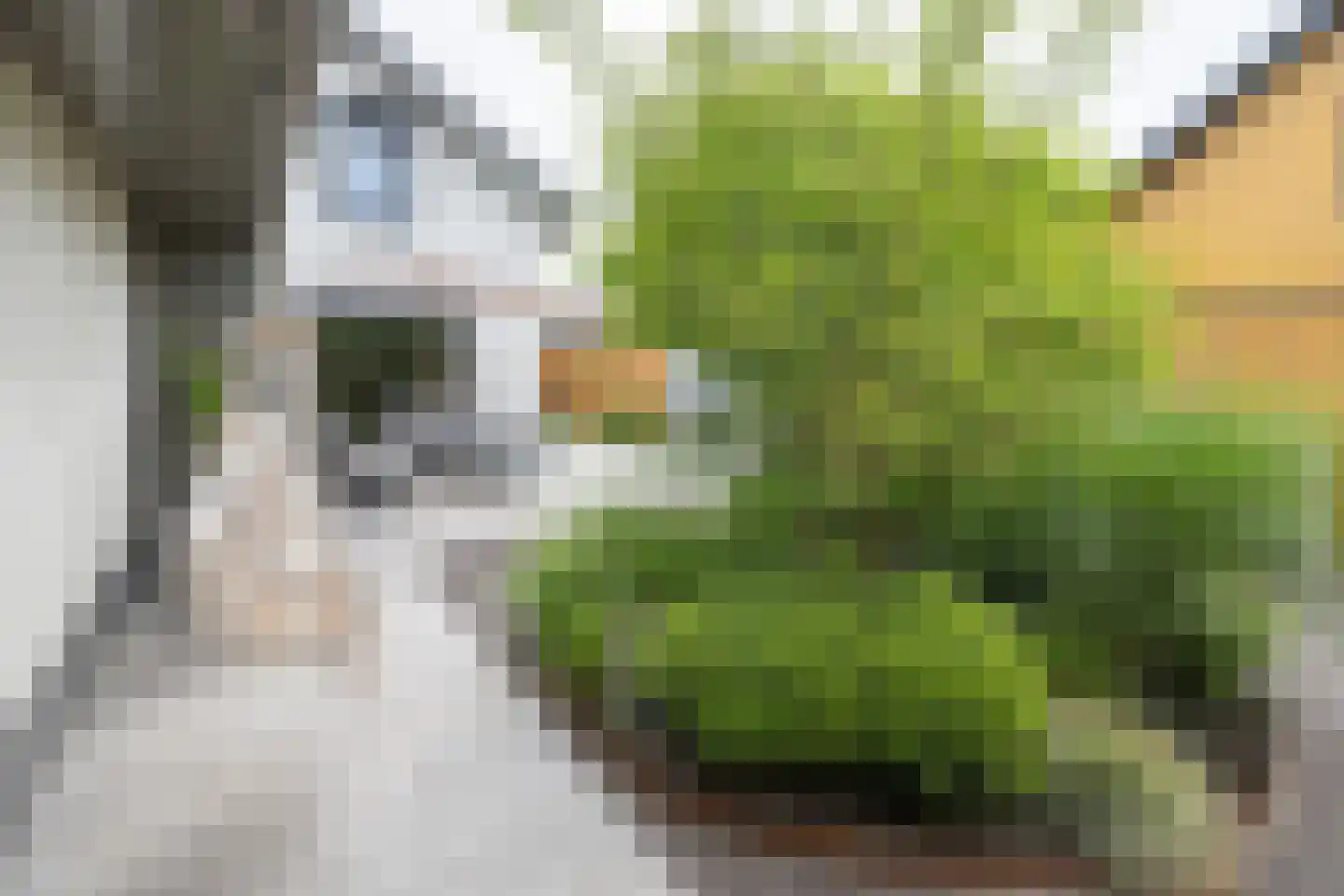 Essenerweg 12 Kootwijkerbroek thumbnail 42