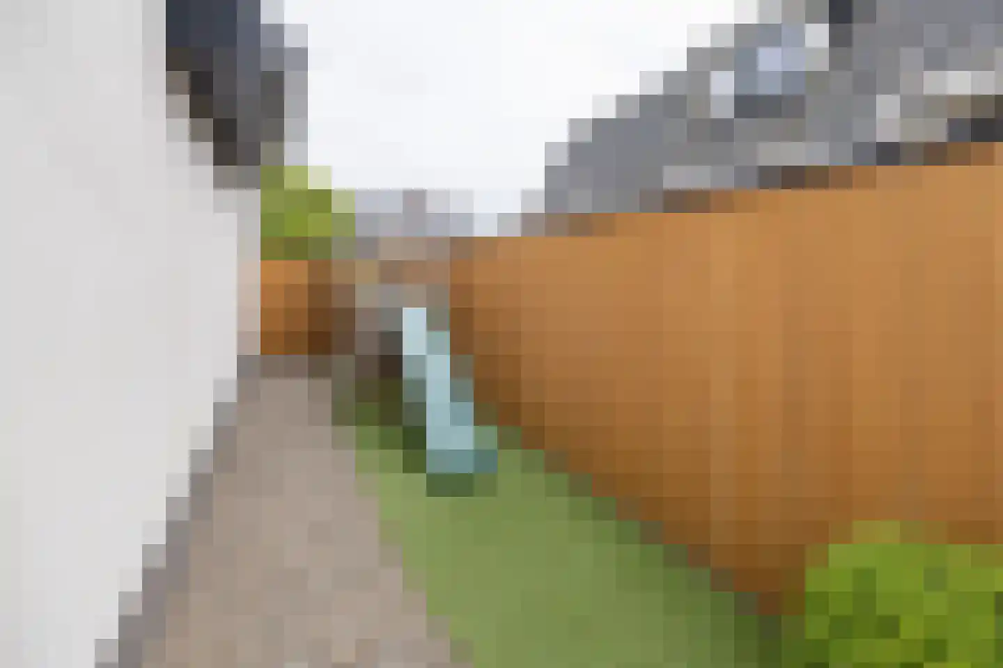 Essenerweg 12 Kootwijkerbroek thumbnail 43