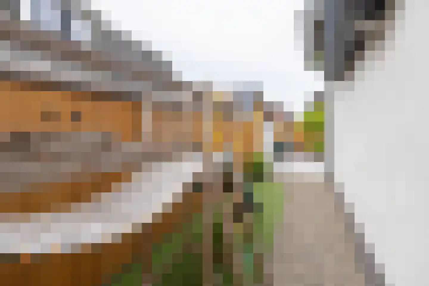 Essenerweg 12 Kootwijkerbroek thumbnail 44