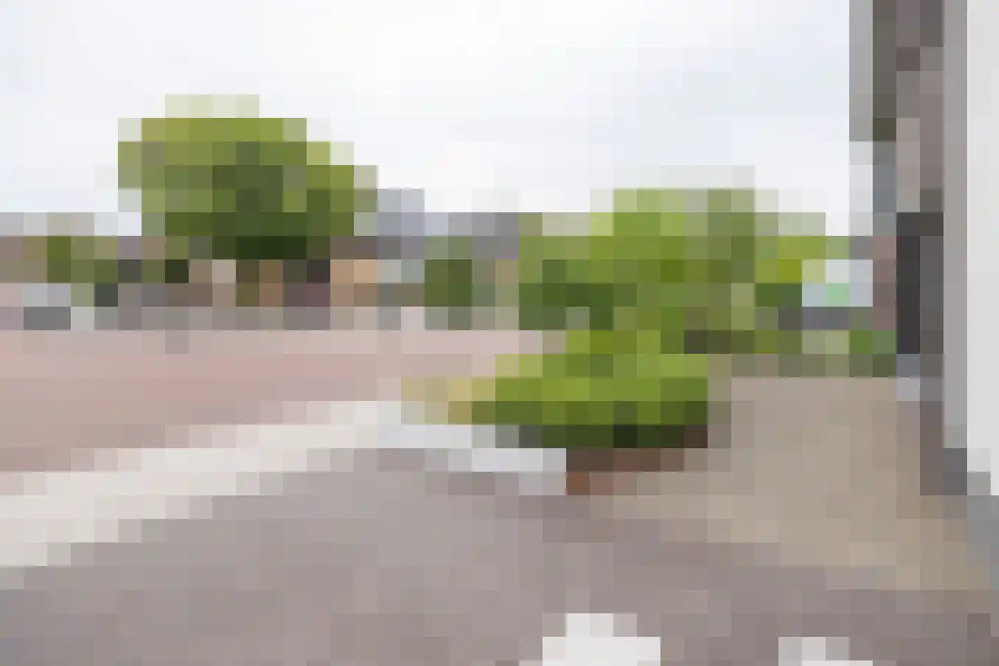 Essenerweg 12 Kootwijkerbroek thumbnail 48