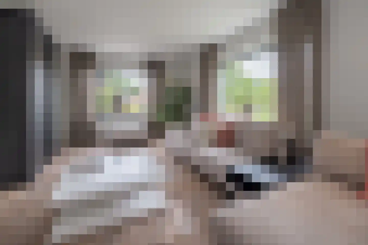 Essenerweg 12 Kootwijkerbroek thumbnail 6