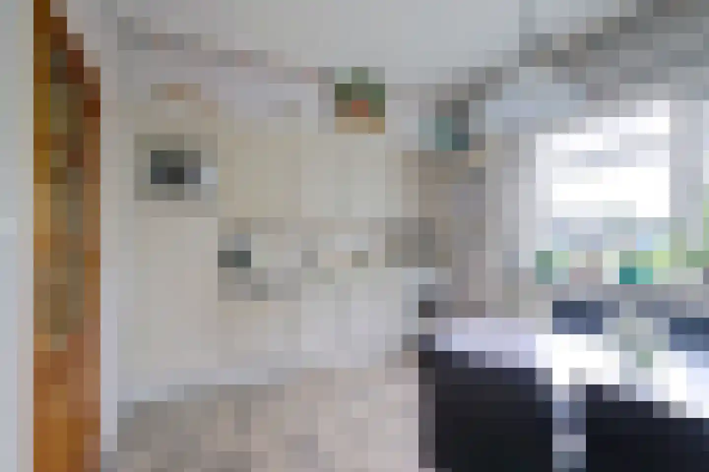 Essenerweg 148 Kootwijkerbroek thumbnail 11