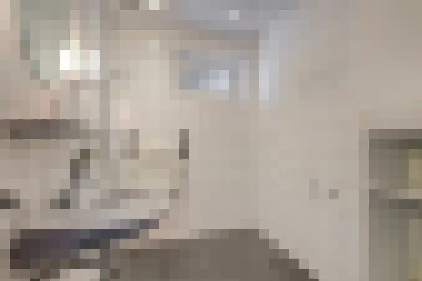 Essenerweg 148 Kootwijkerbroek thumbnail 14