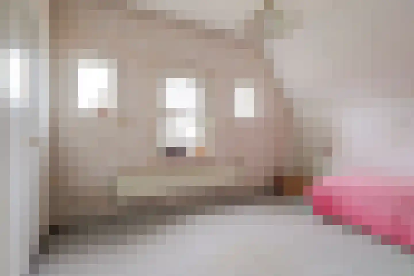 Essenerweg 148 Kootwijkerbroek thumbnail 16