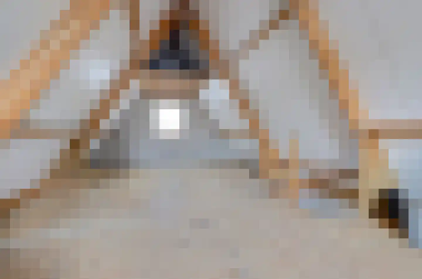 Essenerweg 148 Kootwijkerbroek thumbnail 19