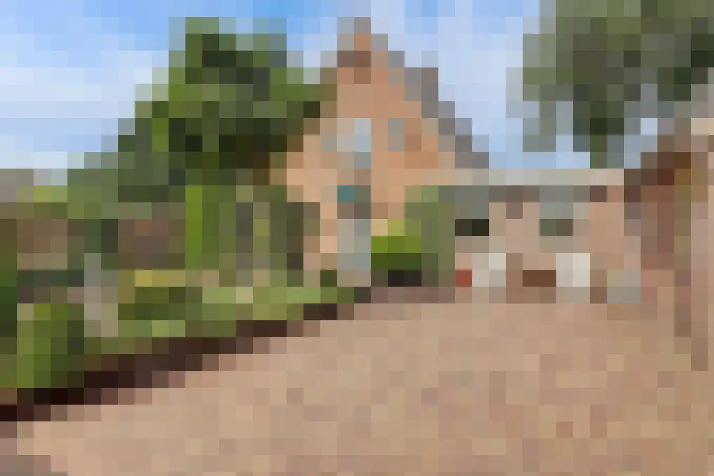 Essenerweg 148 Kootwijkerbroek thumbnail 24