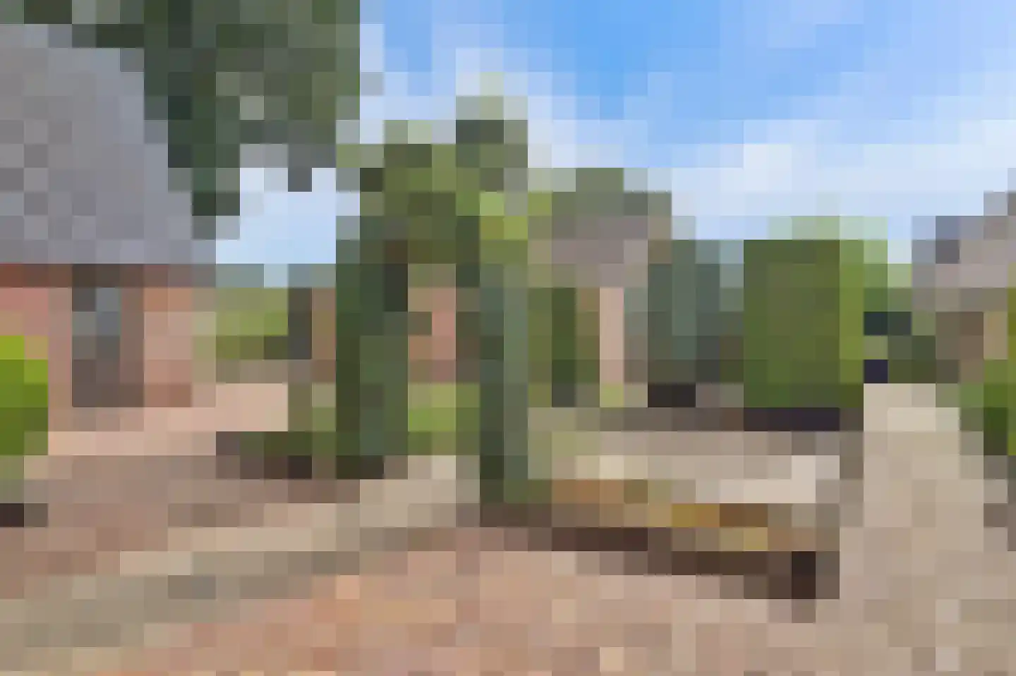 Essenerweg 148 Kootwijkerbroek thumbnail 25