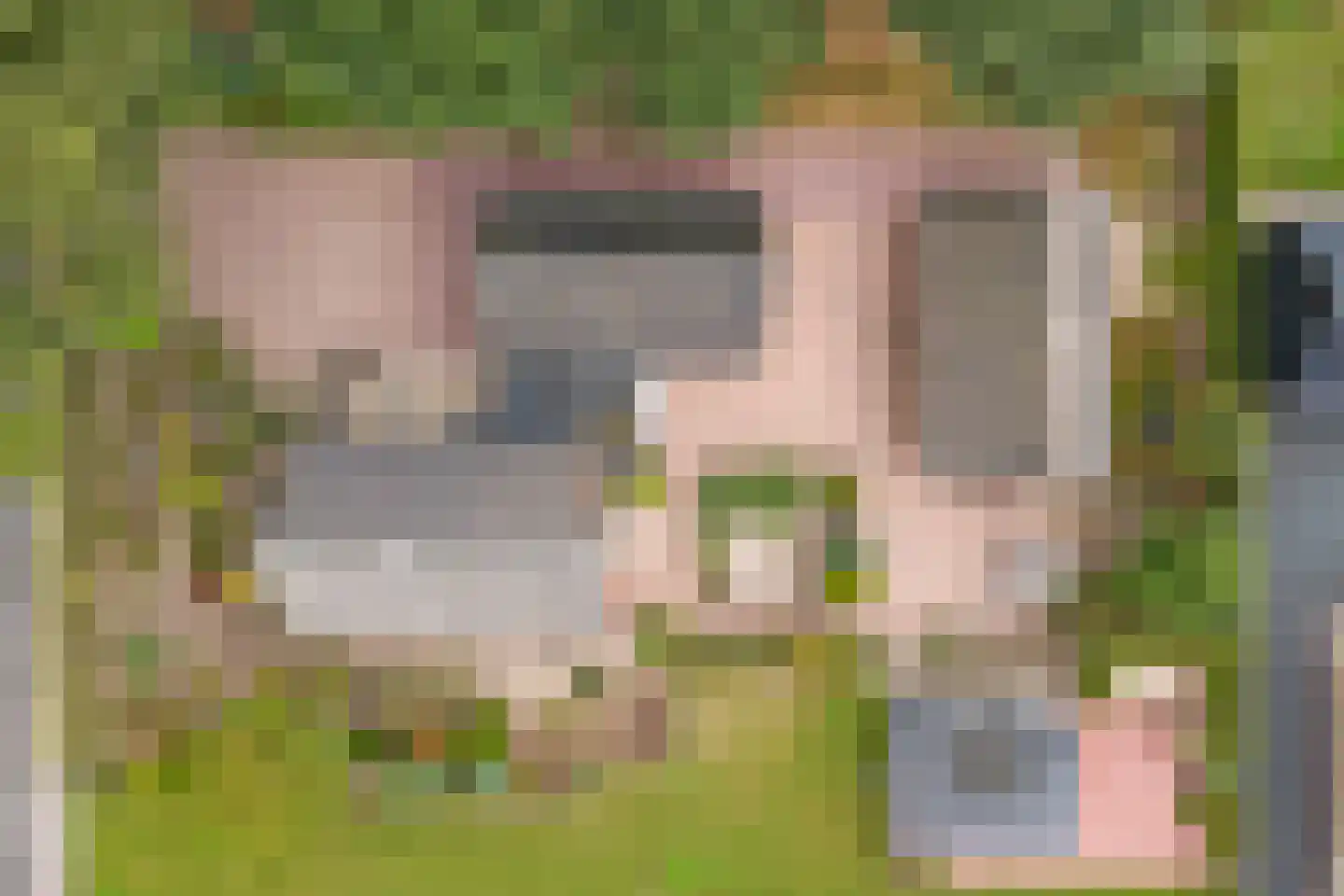 Essenerweg 148 Kootwijkerbroek thumbnail 6