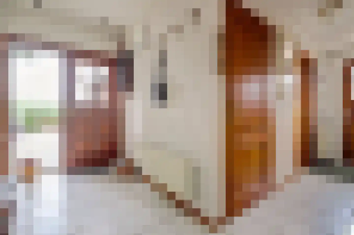 Essenerweg 148 Kootwijkerbroek thumbnail 8