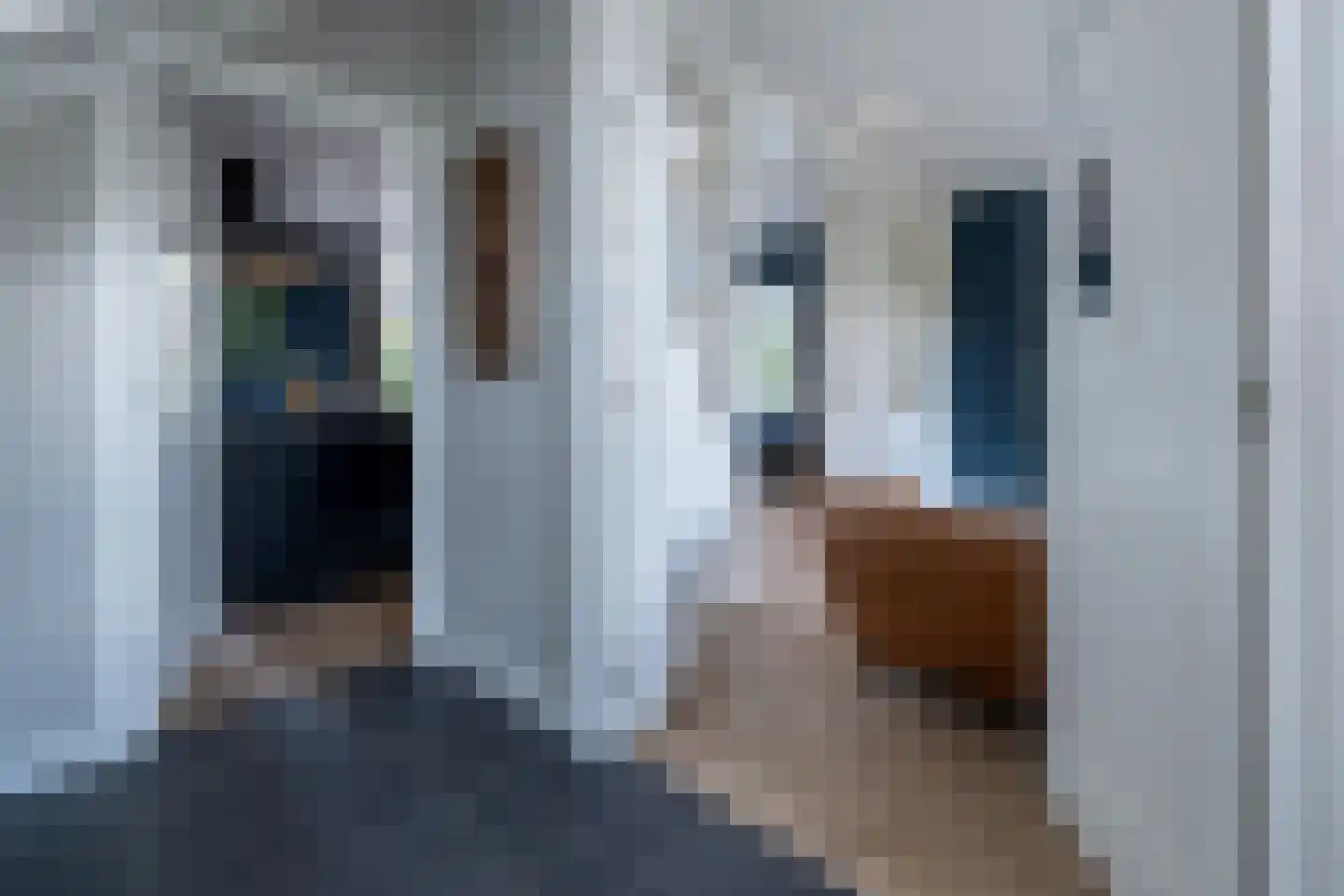 Essenerweg 20 Kootwijkerbroek thumbnail 10