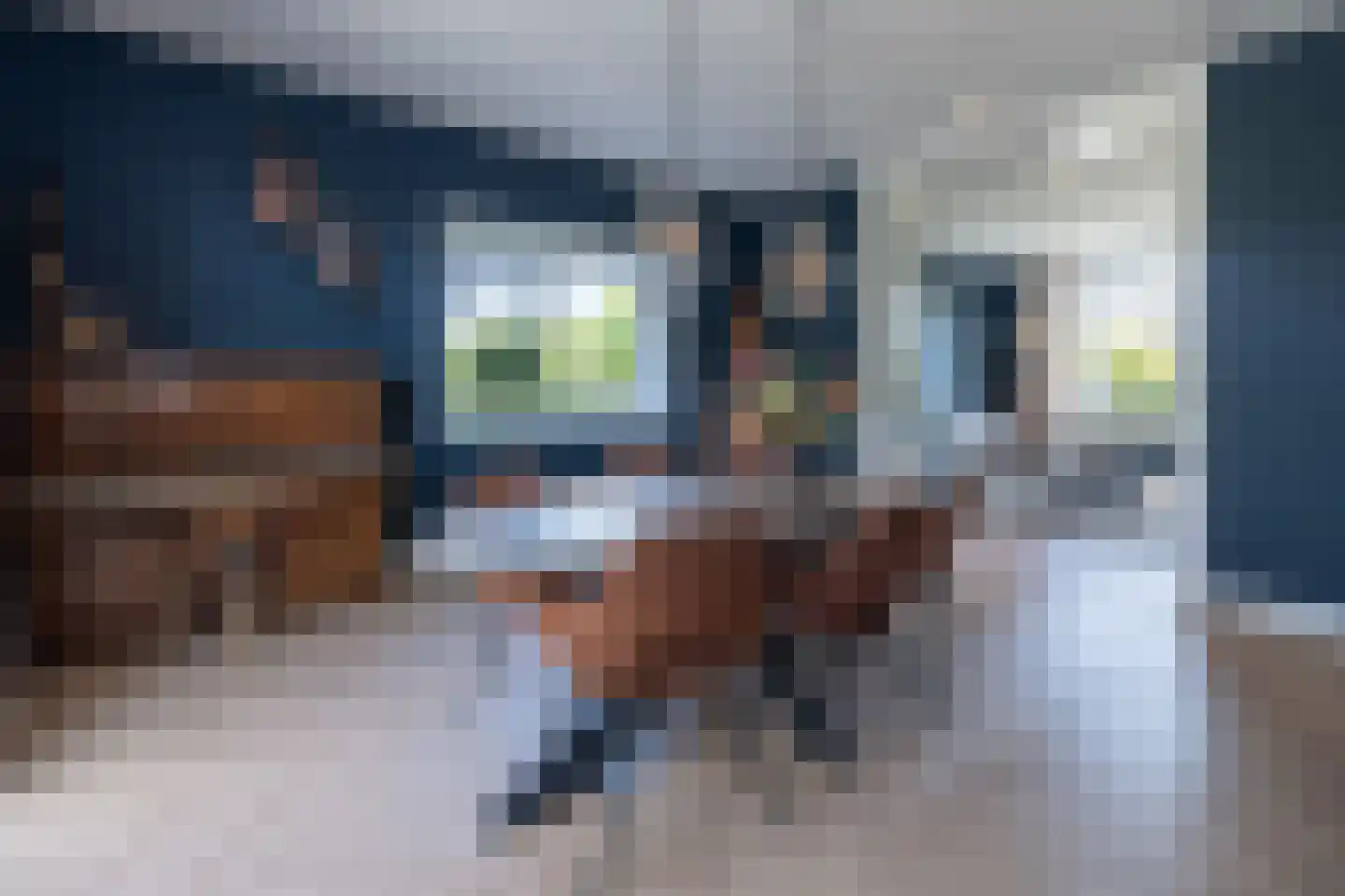Essenerweg 20 Kootwijkerbroek thumbnail 19