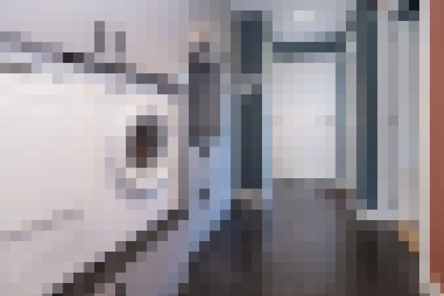 Essenerweg 20 Kootwijkerbroek thumbnail 26