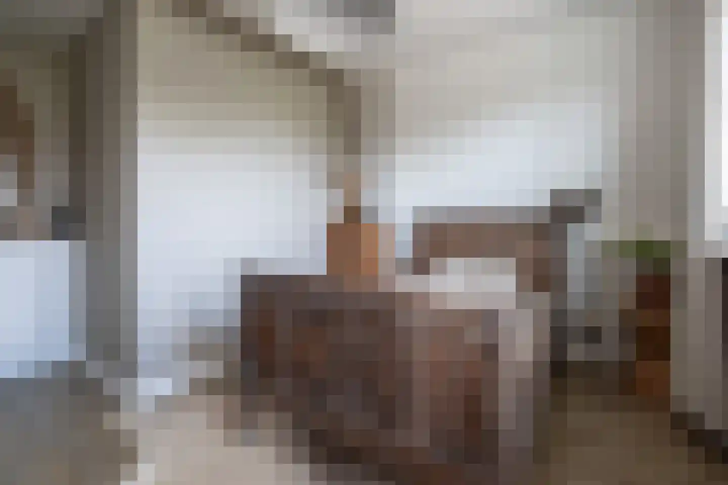 Essenerweg 20 Kootwijkerbroek thumbnail 40