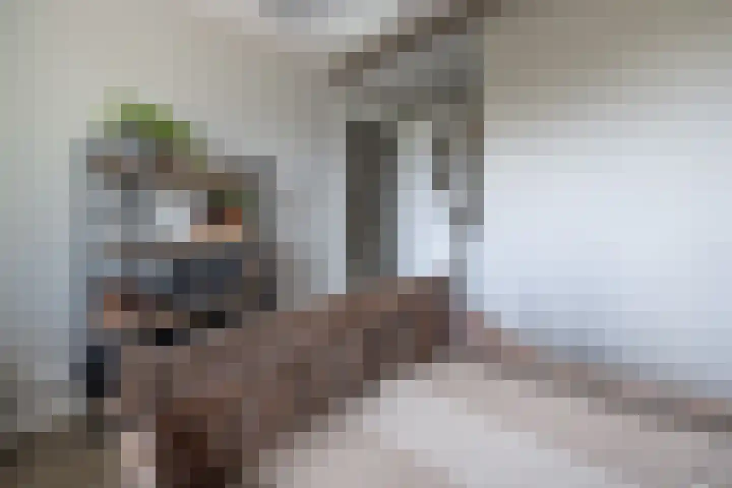 Essenerweg 20 Kootwijkerbroek thumbnail 41