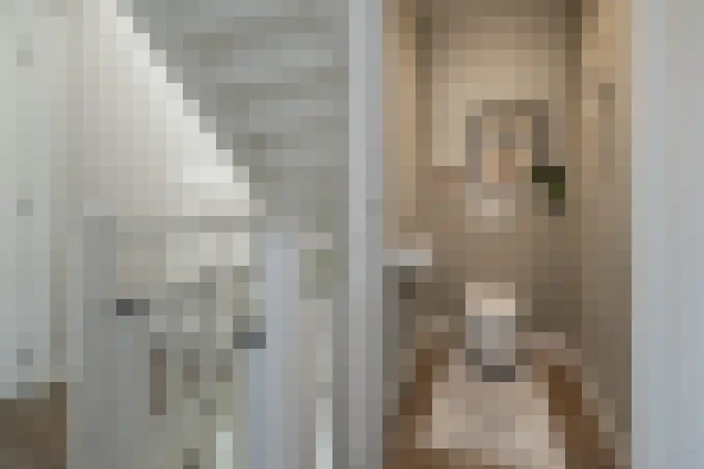 Essenerweg 20 Kootwijkerbroek thumbnail 45
