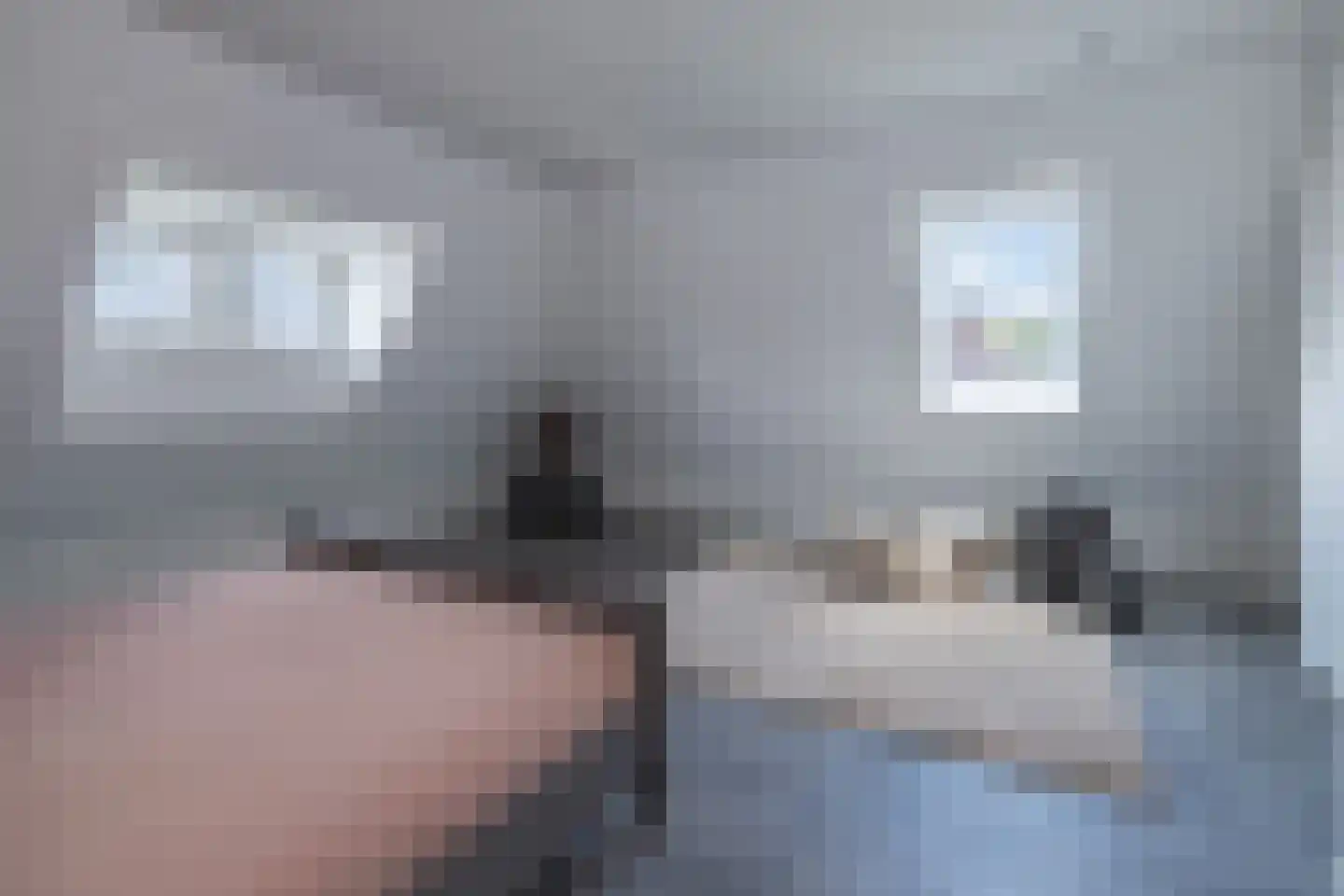 Essenerweg 20 Kootwijkerbroek thumbnail 47