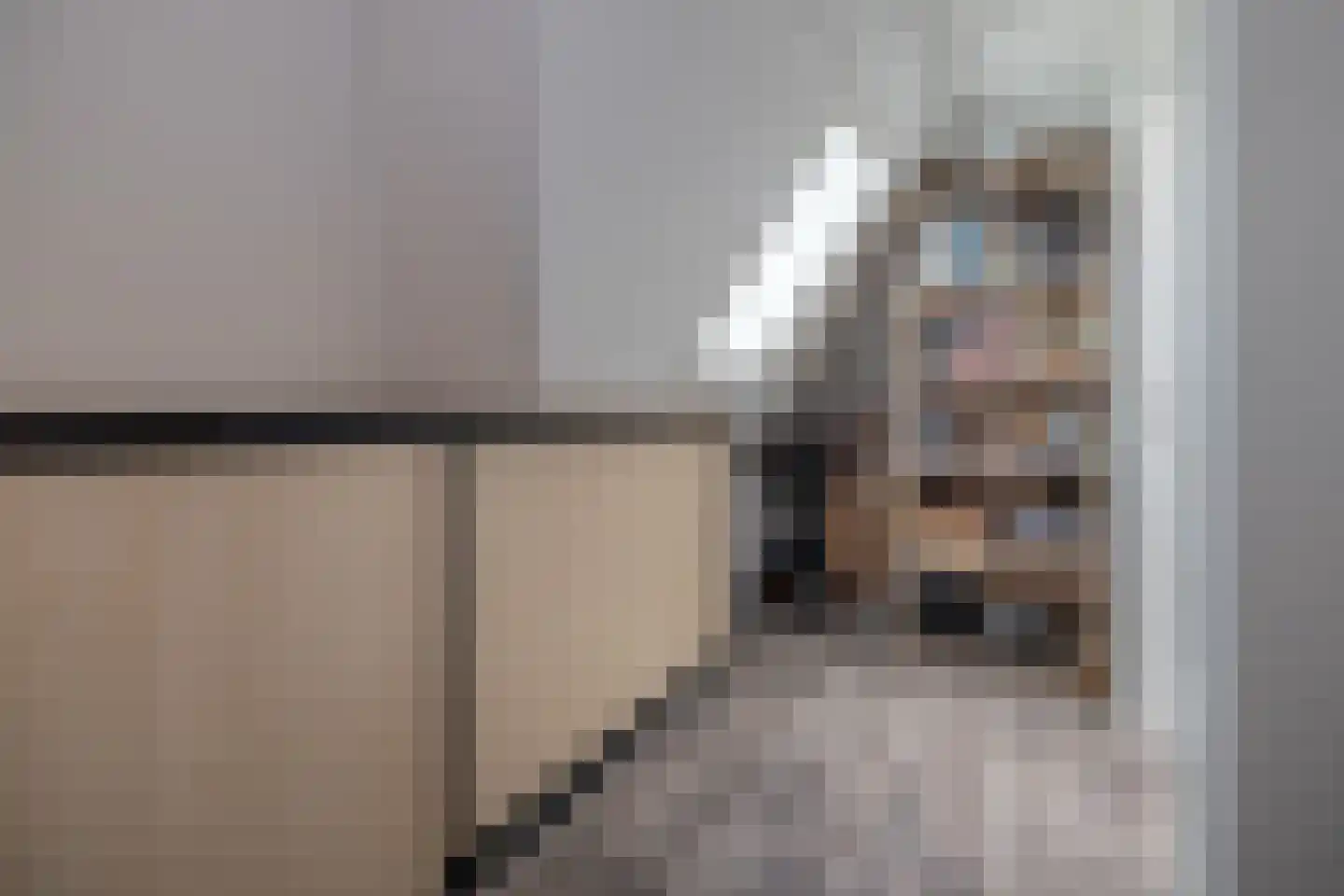 Essenerweg 20 Kootwijkerbroek thumbnail 51