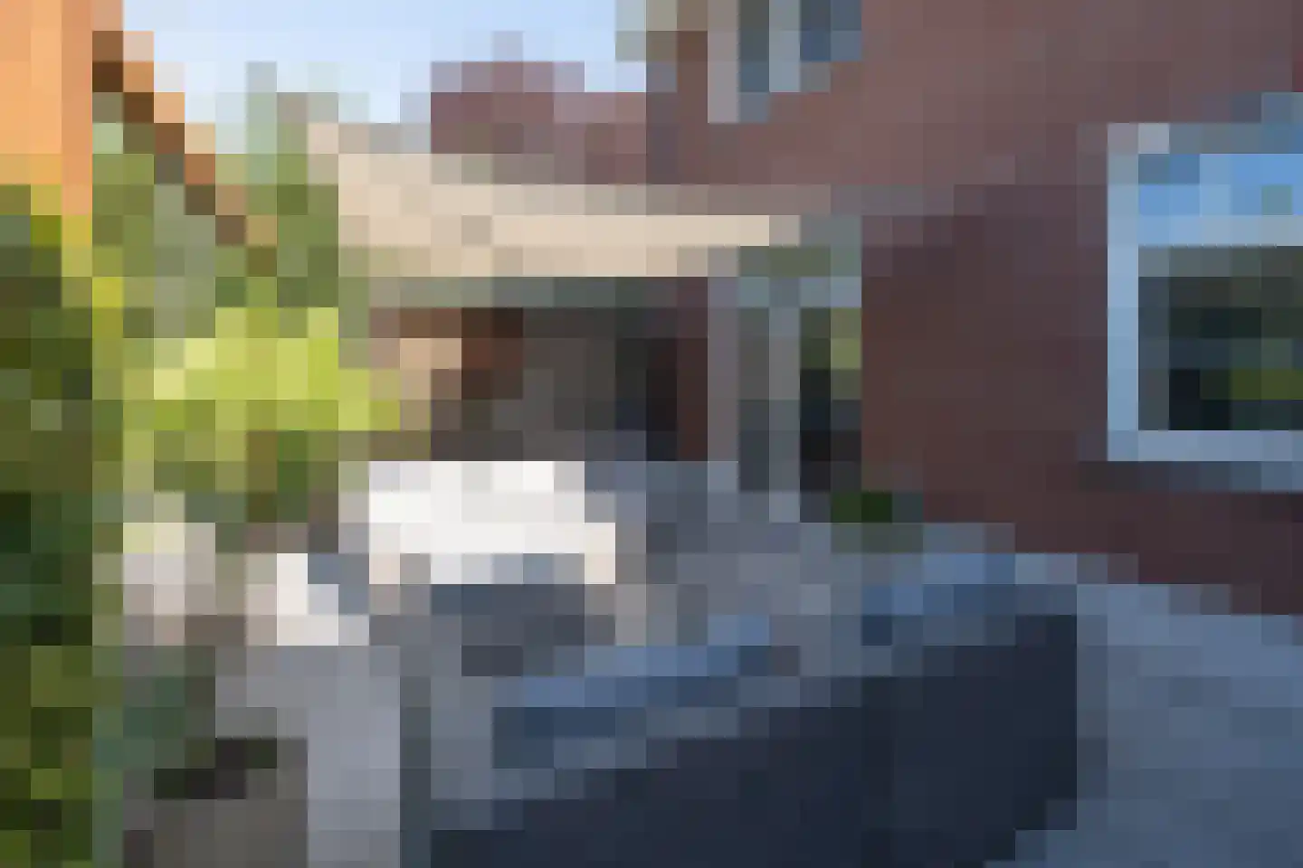Essenerweg 20 Kootwijkerbroek thumbnail 55