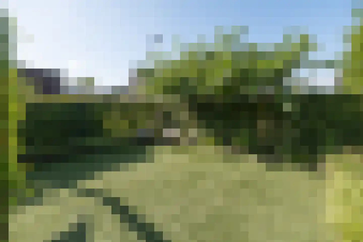 Essenerweg 20 Kootwijkerbroek thumbnail 59