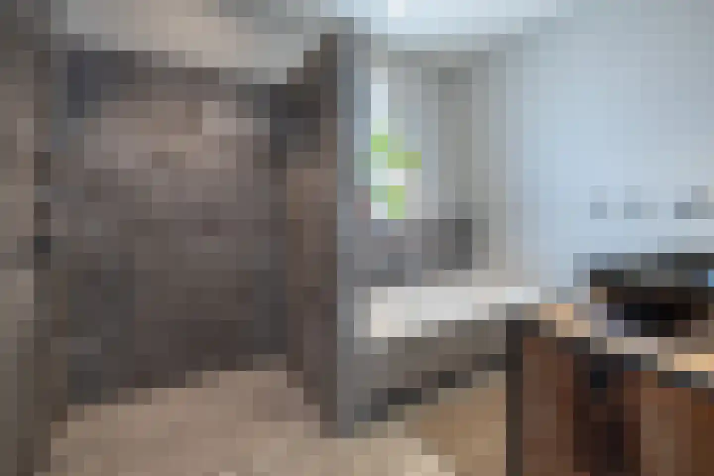 Essenerweg 20 Kootwijkerbroek thumbnail 6