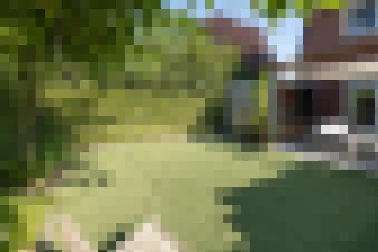 Essenerweg 20 Kootwijkerbroek thumbnail 62