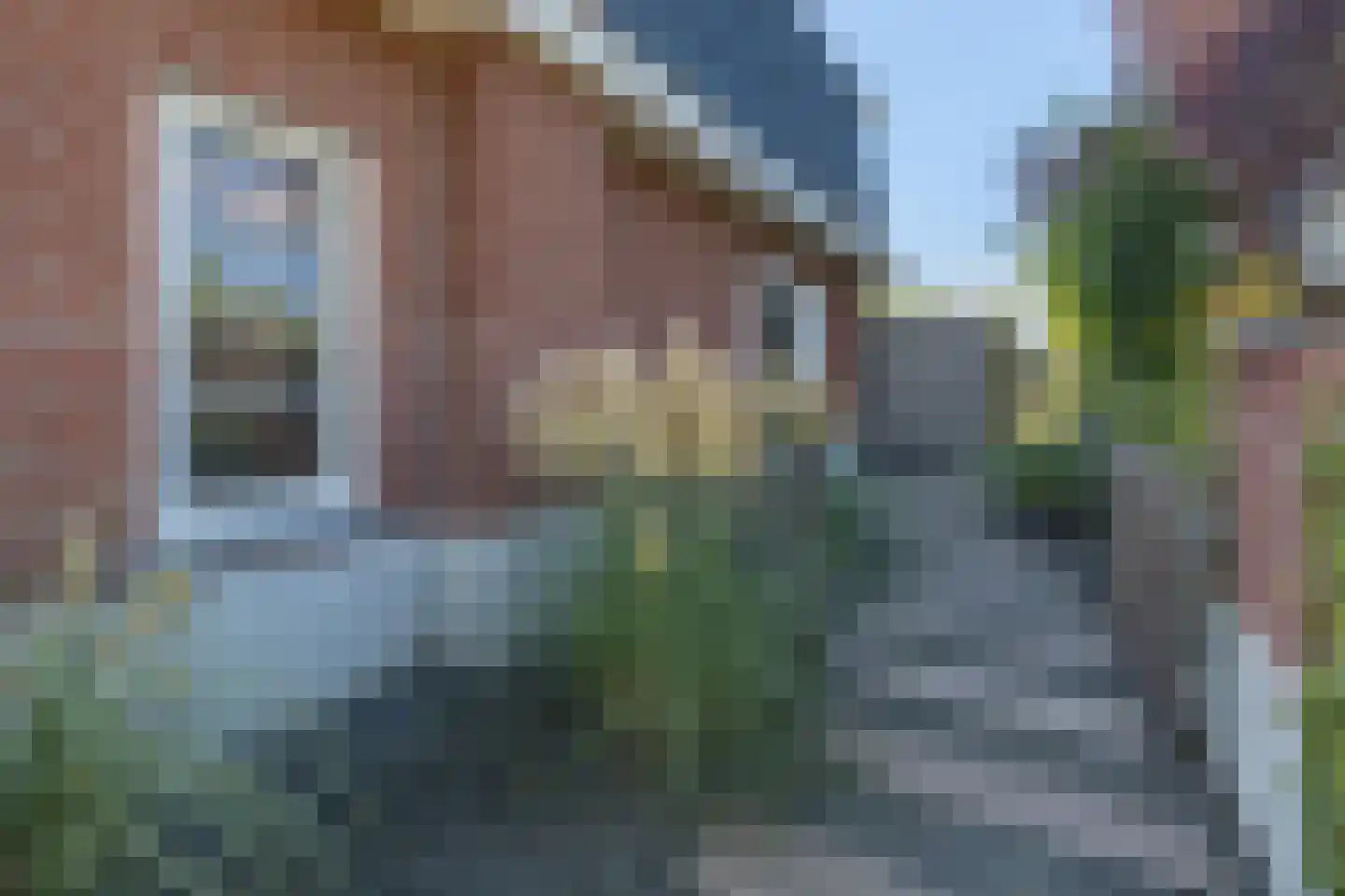 Essenerweg 20 Kootwijkerbroek thumbnail 65