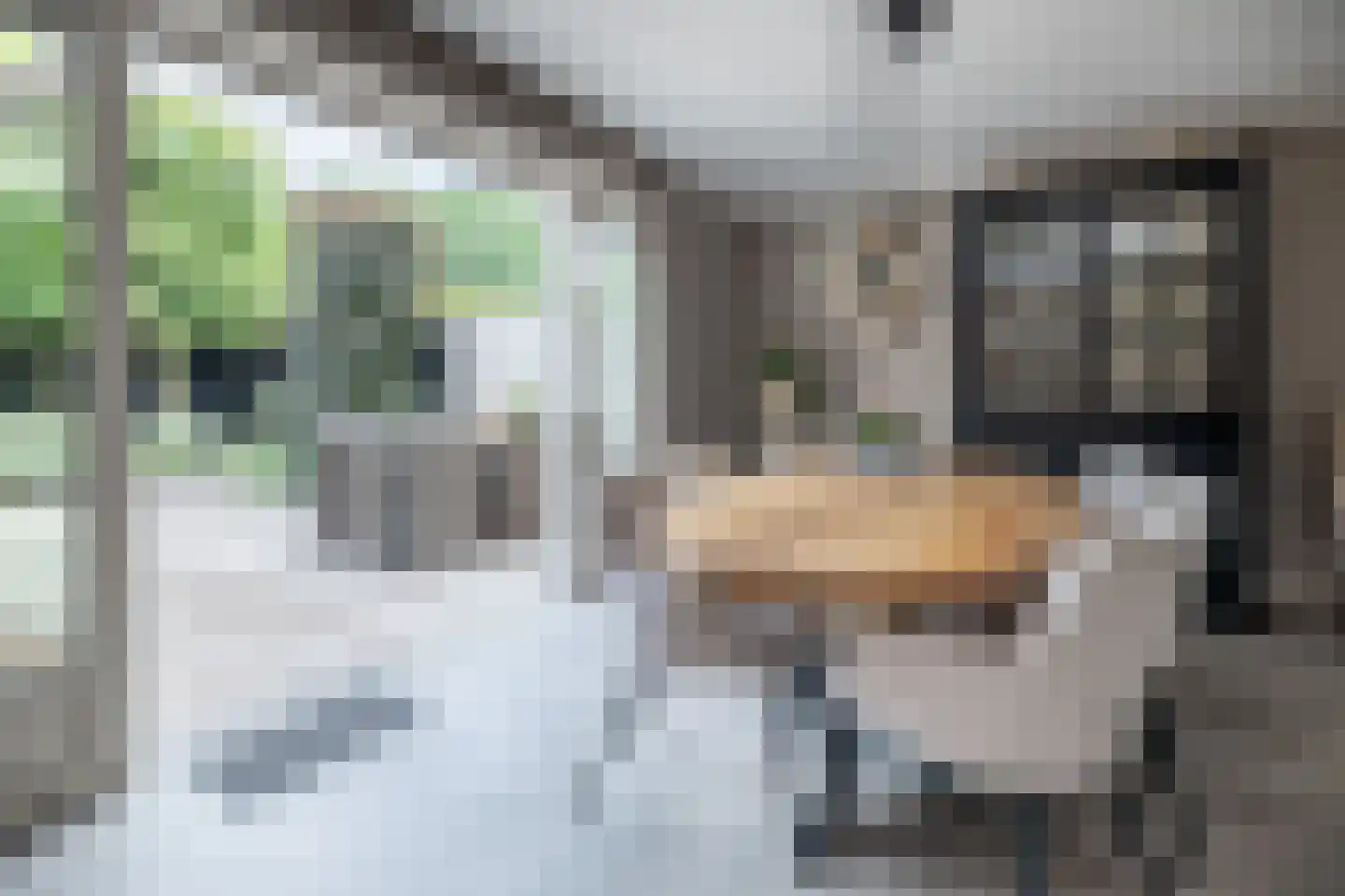 Essenerweg 53 Kootwijkerbroek thumbnail 14