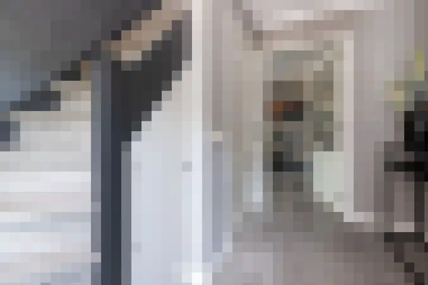 Essenerweg 53 Kootwijkerbroek thumbnail 17