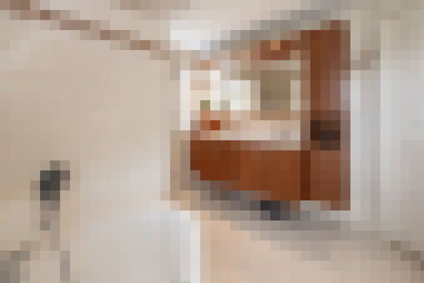 Essenerweg 53 Kootwijkerbroek thumbnail 27
