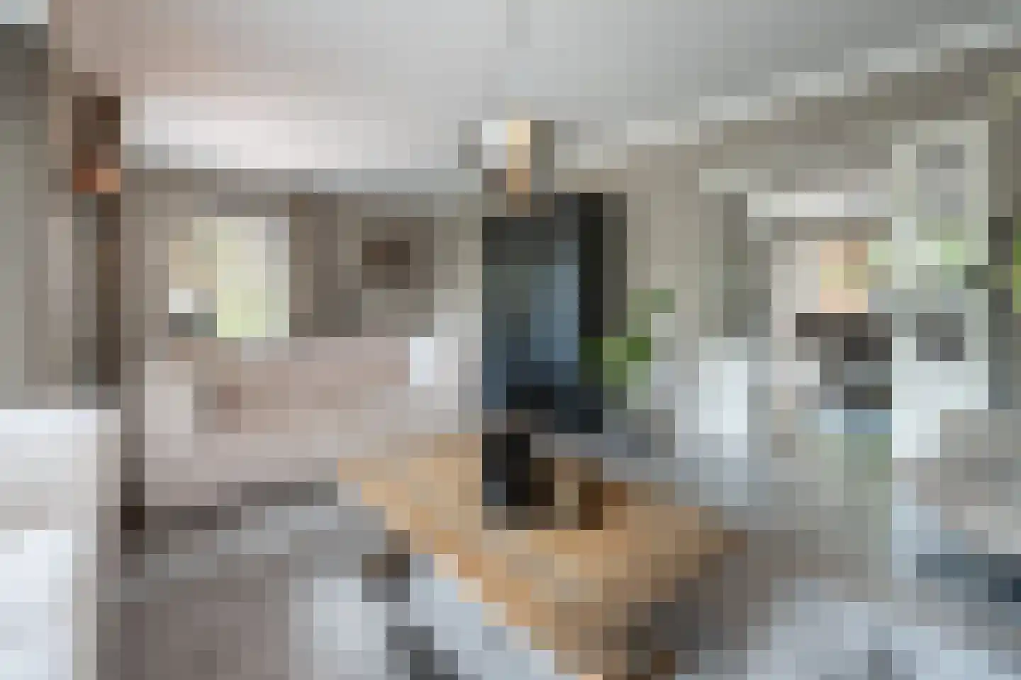 Essenerweg 53 Kootwijkerbroek thumbnail 4