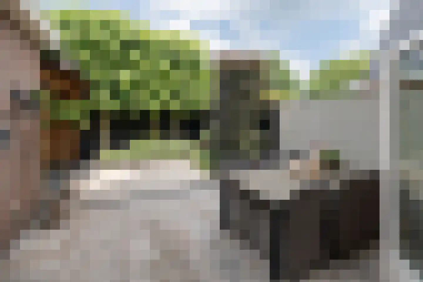 Essenerweg 53 Kootwijkerbroek thumbnail 41