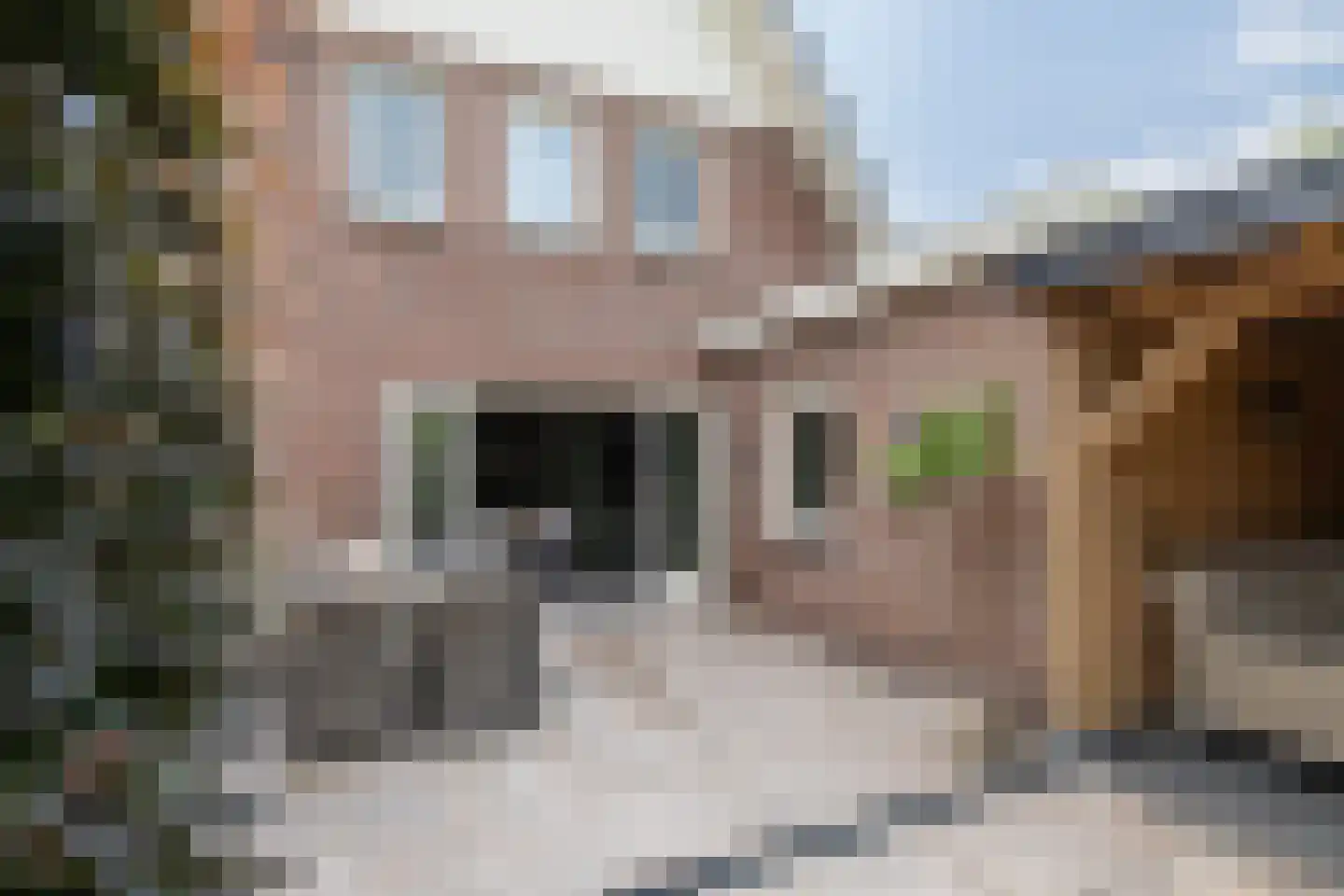 Essenerweg 53 Kootwijkerbroek thumbnail 42