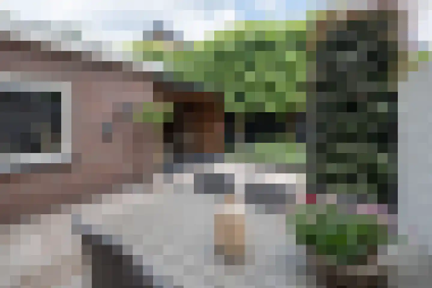 Essenerweg 53 Kootwijkerbroek thumbnail 43