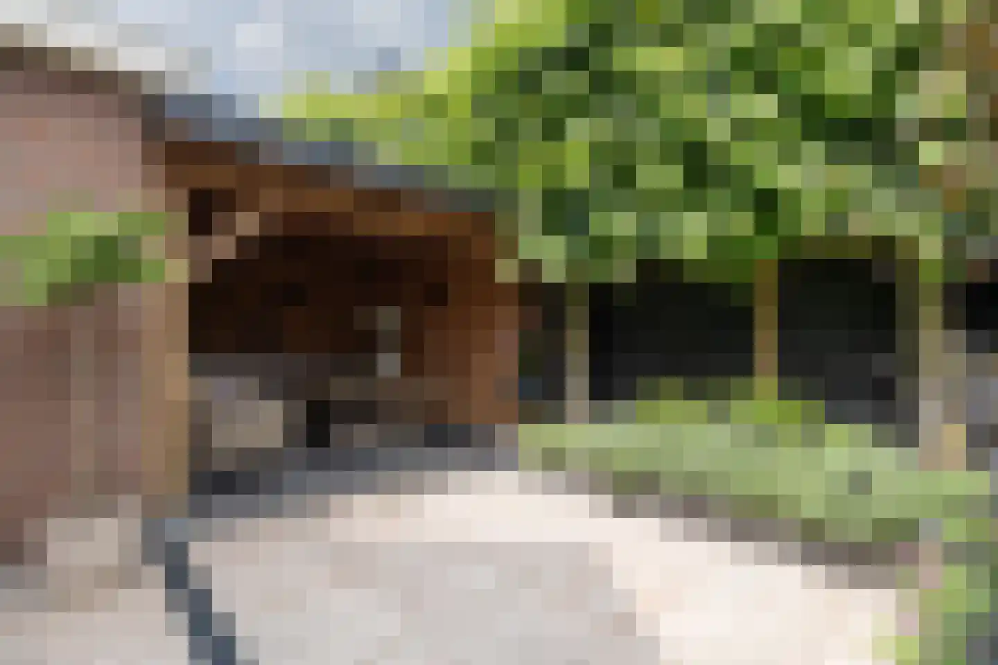 Essenerweg 53 Kootwijkerbroek thumbnail 44