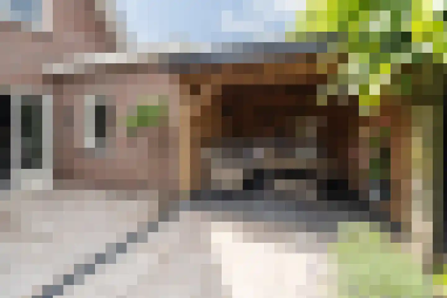 Essenerweg 53 Kootwijkerbroek thumbnail 46