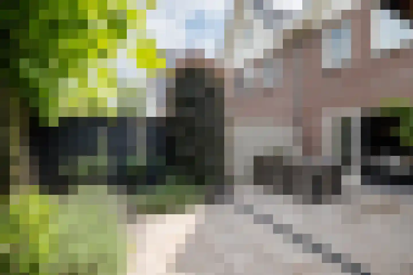 Essenerweg 53 Kootwijkerbroek thumbnail 47