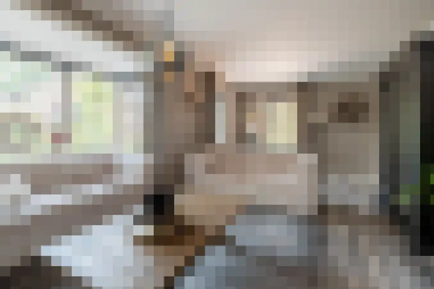 Essenerweg 53 Kootwijkerbroek thumbnail 6